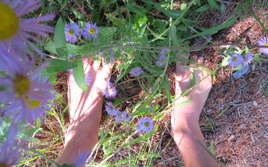 Picture of bare feet on the ground next to purple flowers