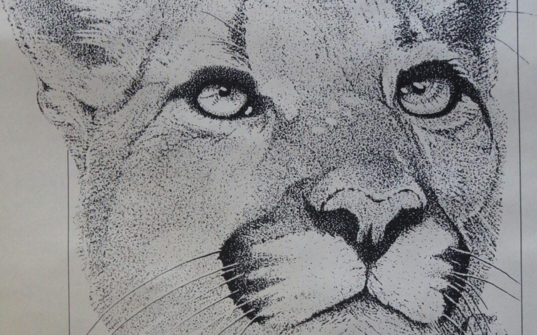 Don’t Kill the Lion